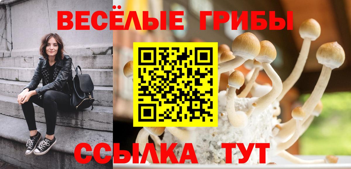 Псилоцибиновые грибы Psilocybine cubensis  Псилоцибиновые грибы мицелий  Ачхой-Мартан  Вход с VPN 